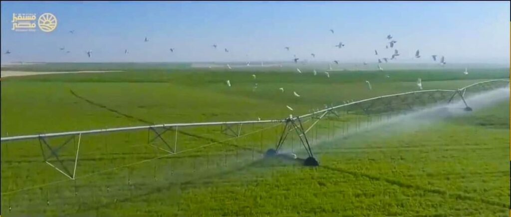 Le Président suit les projets agricoles 10 - Le Progrès Egyptien Le Président suit les projets agricoles 9 - Le Progrès Egyptien