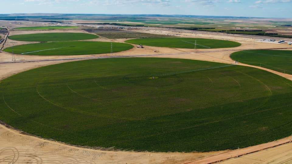 Le Président suit les projets agricoles 4 - Le Progrès Egyptien Le Président suit les projets agricoles 3 - Le Progrès Egyptien