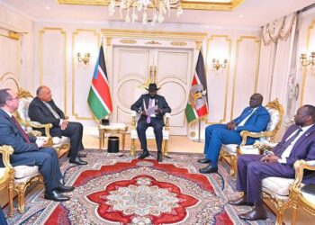 Choucri s’entretient avec le Président Kiir