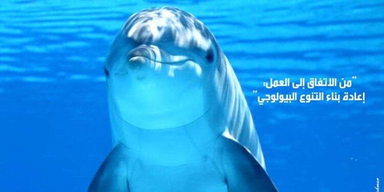 La Journée internationale de la biodiversité 2023 célébrée 2 - Le Progrès Egyptien La Journée internationale de la biodiversité 2023 célébrée 1 - Le Progrès Egyptien