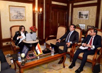 Investissements : Facilités aux Egyptiens de l’étranger