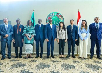 Al- Machat : La BAD est liée par plusieurs partenariats avec l’Egypte