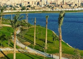 1 million d’arbres au parc des Monts de Fustat