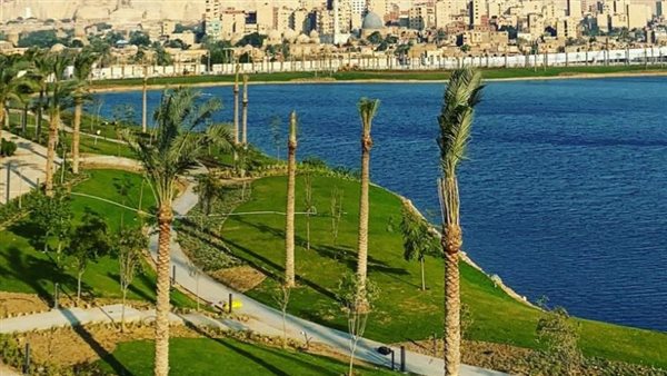 1 million d'arbres au parc des Monts de Fustat 2 - Le Progrès Egyptien 1 million d'arbres au parc des Monts de Fustat 1 - Le Progrès Egyptien