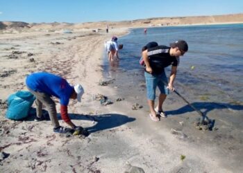 Campagne de nettoyage des plages de Charm El-Cheikh