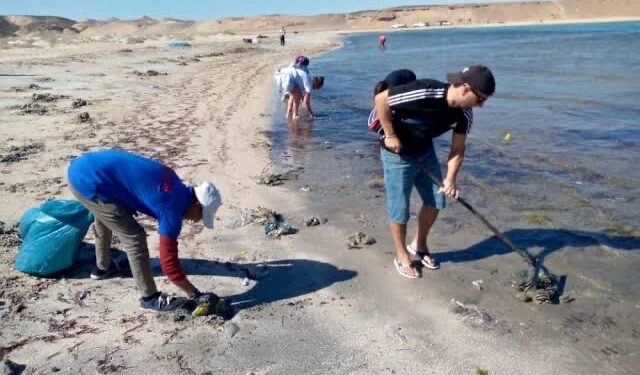 Campagne de nettoyage des plages de Charm El-Cheikh 1 - Le Progrès Egyptien