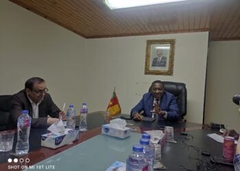 Egypte-Cameroun: Davantage d’efforts pour renforcer les liens économiques