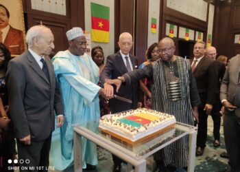 Egypte-Cameroun : Renforcer les liens économiques