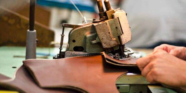 Booster l’industrie du cuir 1 - Le Progrès Egyptien