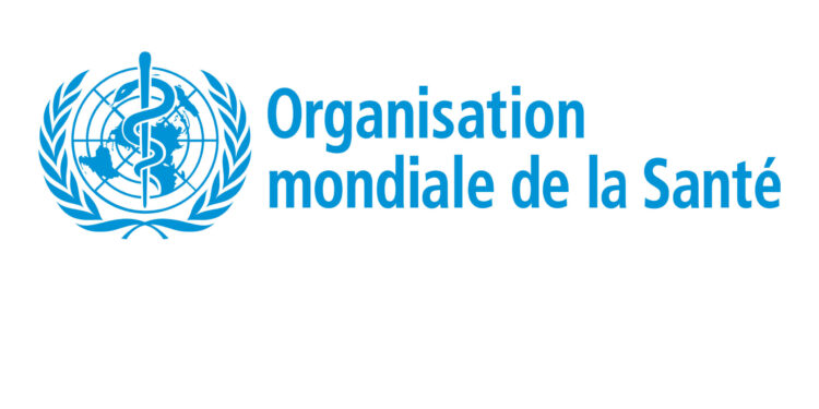L'Afrique lance la plus grande campagne de vaccination contre la polio depuis 2020 2 - Le Progrès Egyptien L'Afrique lance la plus grande campagne de vaccination contre la polio depuis 2020 1 - Le Progrès Egyptien