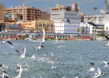 Le port de Port-Saïd classé 10e dans l’indice de performance des ports à conteneurs