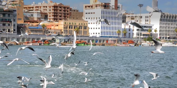 Le port de Port-Saïd classé 10e dans l'indice de performance des ports à conteneurs 2 - Le Progrès Egyptien Le port de Port-Saïd classé 10e dans l'indice de performance des ports à conteneurs 1 - Le Progrès Egyptien