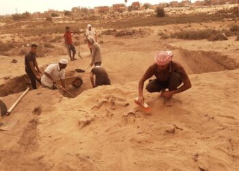 Découverte des amphores à Tell al-Maskhouta