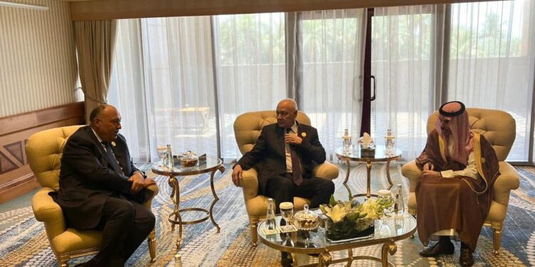 Crise soudanaise : Choucri aux réunions du Groupe de contact à Djeedah 1 - Le Progrès Egyptien