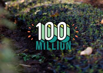 Initiative présidentielle “100 millions d’arbres”
