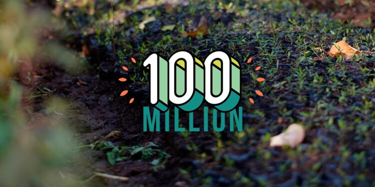 Initiative présidentielle "100 millions d'arbres" 2 - Le Progrès Egyptien Initiative présidentielle "100 millions d'arbres" 1 - Le Progrès Egyptien