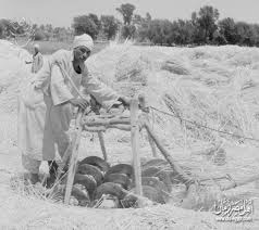 Moisson, battage.. les rituels de la récolte du blé depuis les ancêtres 4 - Le Progrès Egyptien Moisson, battage.. les rituels de la récolte du blé depuis les ancêtres 3 - Le Progrès Egyptien