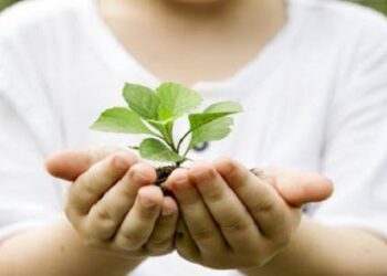 Valeurs de l’Islam