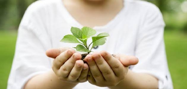 Valeurs de l'Islam 2 - Le Progrès Egyptien Valeurs de l'Islam 1 - Le Progrès Egyptien