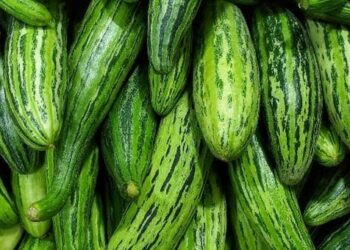 Un proverbe, une histoire 