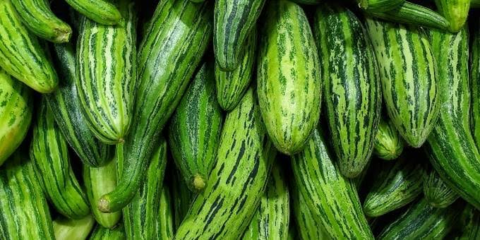 Un proverbe, une histoire 2 - Le Progrès Egyptien Un proverbe, une histoire 1 - Le Progrès Egyptien