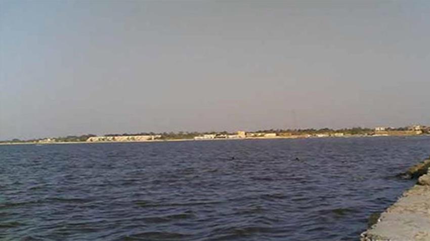 Lac Manzala... de la fragilité au développement 6 - Le Progrès Egyptien Lac Manzala... de la fragilité au développement 5 - Le Progrès Egyptien