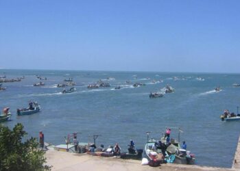 Lac Manzala… de la fragilité au développement