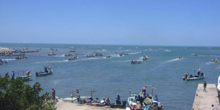 Lac Manzala... de la fragilité au développement 2 - Le Progrès Egyptien Lac Manzala... de la fragilité au développement 1 - Le Progrès Egyptien