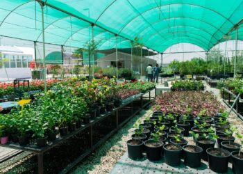 Achèvement de la pépinière centrale dans la Nouvelle Capitale