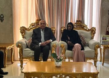 Crise du Soudan : Choucri au Tchad