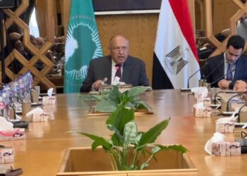 Choucri : L’unité de l’Afrique est la base pour surmonter tous les défis