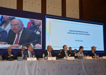 Choucri annonce la coprésidence par l’Égypte du FMLT