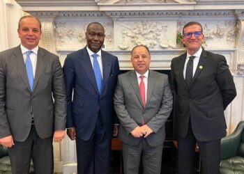 Soutien aux économies émergentes dans le continent noir