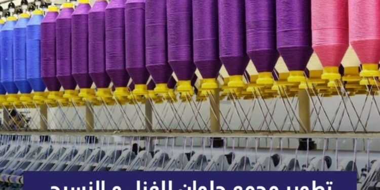 1,4 milliard de LE pour développer le complexe de filature et de tissage de Hélouane 1 - Le Progrès Egyptien