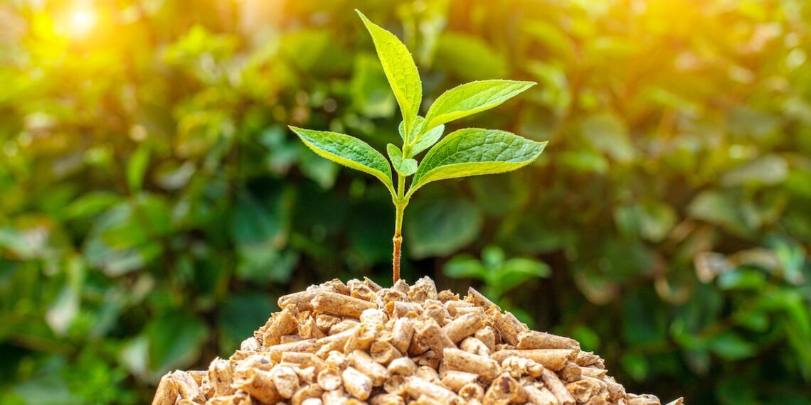 small pile of wood pellets with on top of green leaves. Eco-sustainable biomass concept.