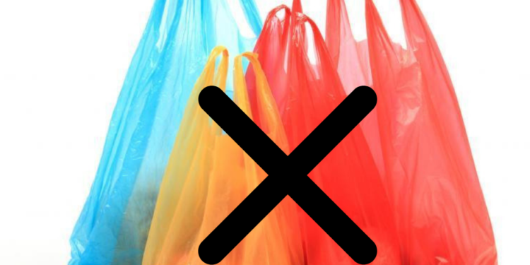 Réduire l'utilisation des sacs plastiques à usage unique 1 - Le Progrès Egyptien