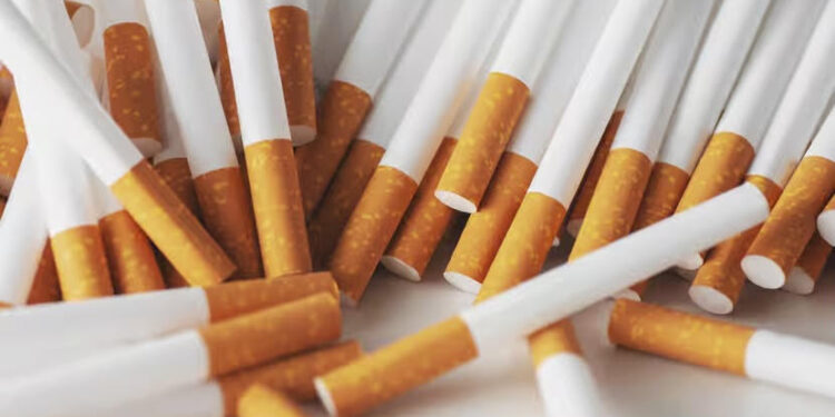 Le tabac, la première cause évitable de mortalité 2 - Le Progrès Egyptien Le tabac, la première cause évitable de mortalité 1 - Le Progrès Egyptien