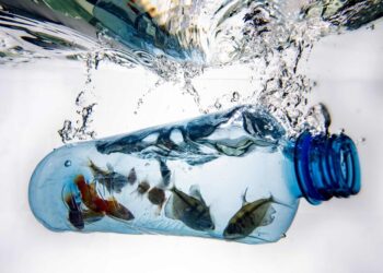 L’Egypte à Paris pour élaborer un traité international de lutte contre la pollution plastique