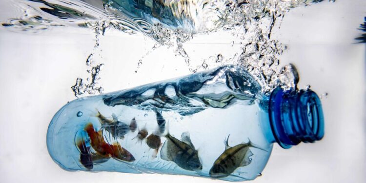 L'Egypte à Paris pour élaborer un traité international de lutte contre la pollution plastique 1 - Le Progrès Egyptien (FILES) A photo taken on December 8, 2022, in Vaasa, shows plastic pieces in frozen water. Negotiations on a global treaty to combat plastic pollution will resume on May 29, 2023, with nations under pressure to stem the tide of trash amid calls from campaigners to limit industry influence on the talks. Some 175 nations pledged last year to agree by 2024 a binding deal to end the pollution from largely fossil fuel-based plastics that is choking the environment and infiltrating the bodies of humans and animals. The May 29-June 2 talks in Paris are tasked with agreeing the first outline for actions that could form the basis of a draft negotiating text. (Photo by Olivier MORIN / AFP) / TO GO WITH Pakistan-environment-plastic,FEATURE by Joris Fioriti