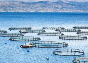 Hausse des échanges commerciaux Chine-Afrique 