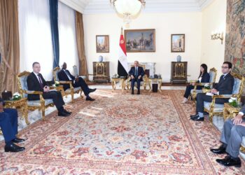 Al-Sissi reçoit le directeur général d’IFC Makhtar Diop