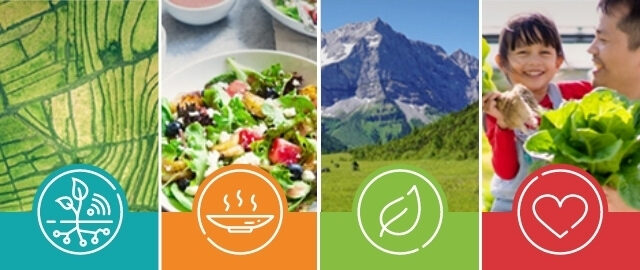 Mai : Rapport de la FAO sur les prix des produits alimentaires 2 - Le Progrès Egyptien Mai : Rapport de la FAO sur les prix des produits alimentaires 1 - Le Progrès Egyptien