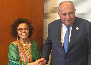 NEPAD : Rôle majeur d’Al-Sissi dans le développement en Afrique