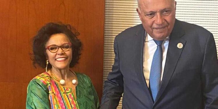 NEPAD : Rôle majeur d’Al-Sissi dans le développement en Afrique 1 - Le Progrès Egyptien Photos archives Source ; Ministère des Affaires étrangères