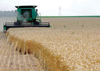 Les entrepôts stratégiques, outil de sécurité alimentaire