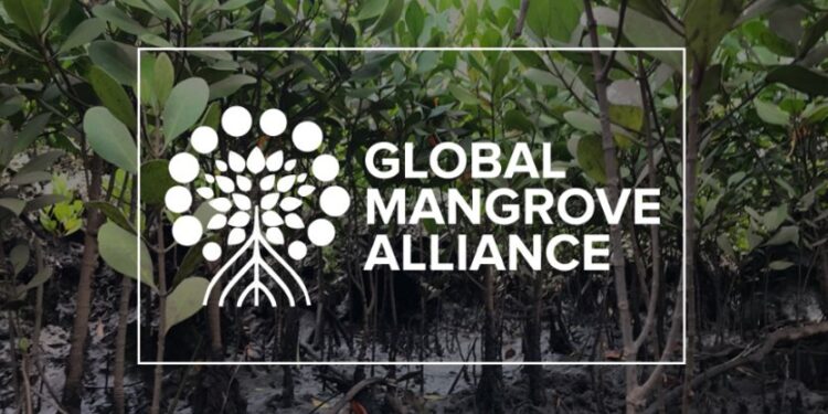 Le Koweït rejoint l'initiative Mangrove Alliance for Climate (MAC) 1 - Le Progrès Egyptien