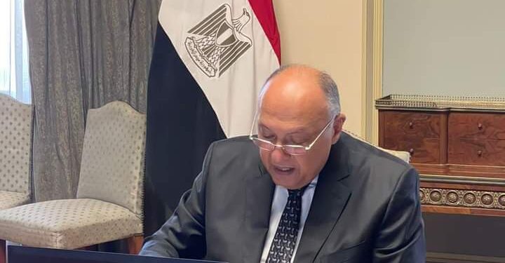 Réunions de Bonn sur le climat: Choucri en réunion virtuelle 2 - Le Progrès Egyptien Réunions de Bonn sur le climat: Choucri en réunion virtuelle 1 - Le Progrès Egyptien