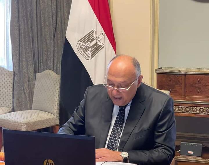 Réunions de Bonn sur le climat: Choucri en réunion virtuelle 1 - Le Progrès Egyptien