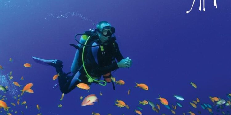 Flux remarquable sur la Mer Rouge en 2023 2 - Le Progrès Egyptien Flux remarquable sur la Mer Rouge en 2023 1 - Le Progrès Egyptien