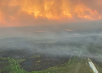 Al-Ahly : Percy Tao reçoit une offre de la Ligue belge 